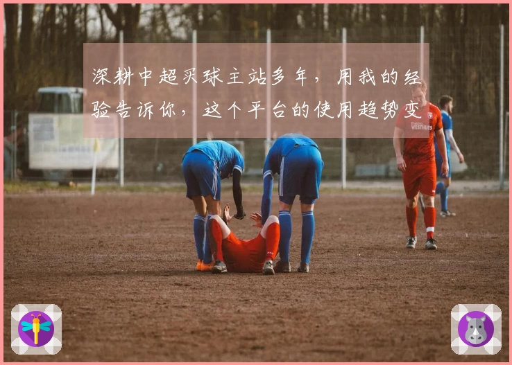深耕中超买球主站多年，用我的经验告诉你，这个平台的使用趋势变化究竟在哪里