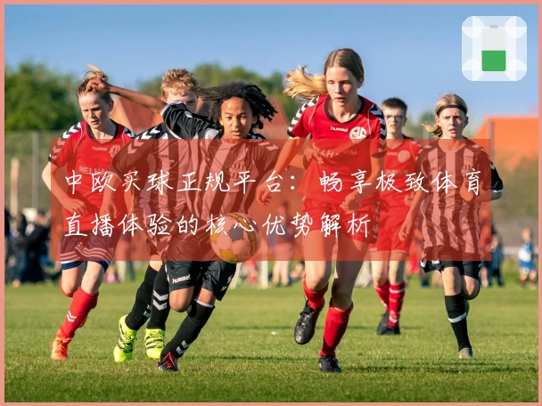 中欧买球正规平台：畅享极致体育直播体验的核心优势解析